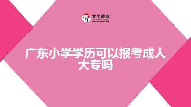 廣東小學(xué)學(xué)歷可以報考成人大專嗎