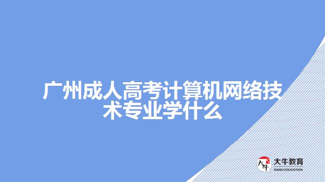 成人高考計(jì)算機(jī)網(wǎng)絡(luò)技術(shù)專業(yè)學(xué)什么