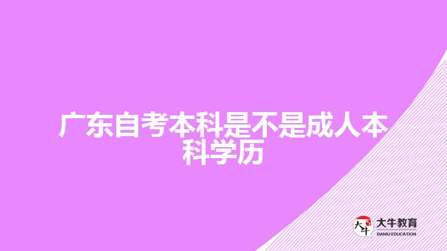 廣東自考本科是不是成人本科學歷