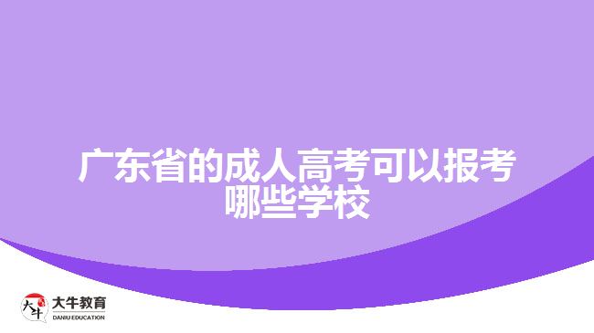 廣東省的成人高考可以報考哪些學校