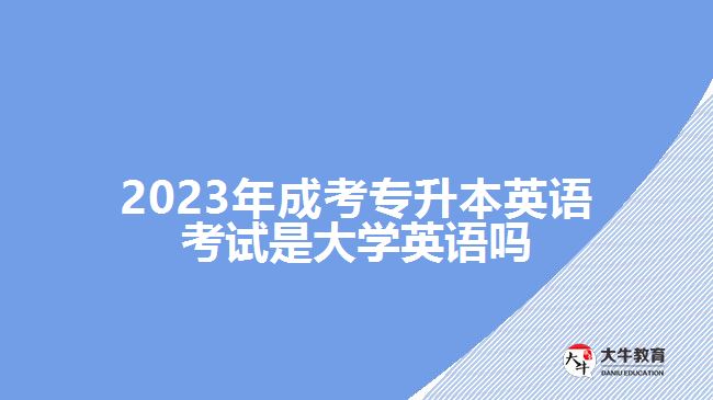 2023年成考專升本英語(yǔ)考試是大學(xué)英語(yǔ)嗎