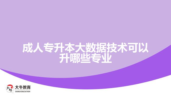 成人專升本大數(shù)據(jù)技術(shù)可以升哪些專業(yè)