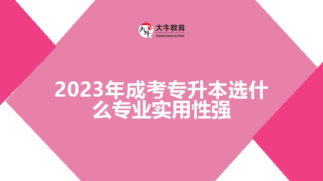 2023年成考專(zhuān)升本選什么專(zhuān)業(yè)實(shí)用性強(qiáng)