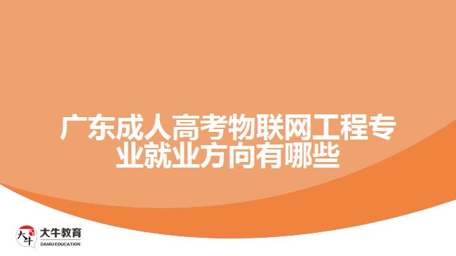 廣東成人高考物聯(lián)網(wǎng)工程專業(yè)就業(yè)方向有哪些