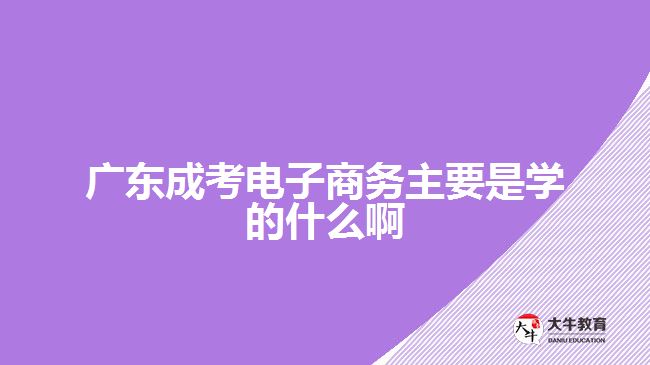 廣東成考電子商務(wù)主要是學(xué)的什么啊