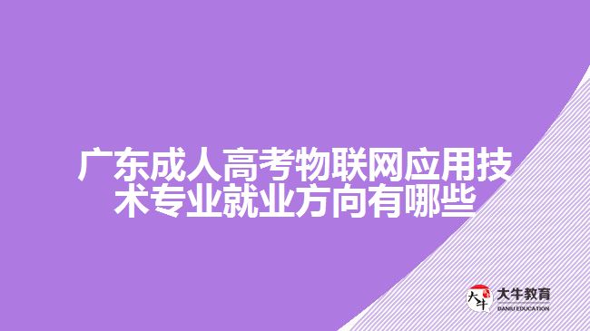 廣東成人高考物聯(lián)網(wǎng)應(yīng)用技術(shù)專業(yè)就業(yè)方向有哪些