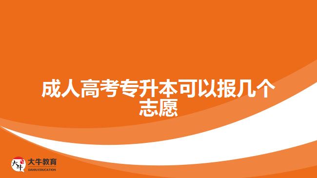 成人高考專升本可以報(bào)幾個(gè)志愿