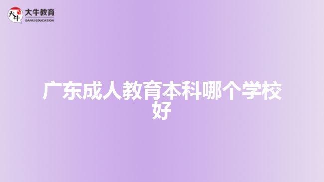 廣東成人教育本科哪個(gè)學(xué)校好