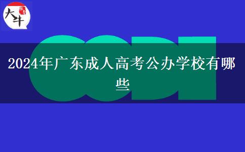 2024年廣東成人高考公辦學校有哪些