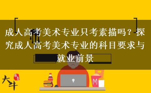 成人高考美術(shù)專業(yè)只考素描嗎？