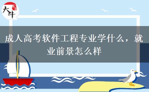 成人高考軟件工程專業(yè)學(xué)什么，就業(yè)前景怎么樣