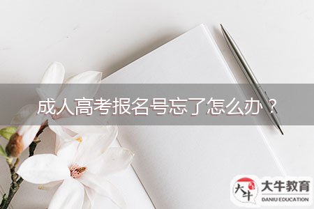 成人高考報(bào)名號(hào)忘了怎么辦？