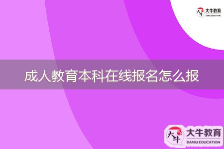 成人教育本科在線報名怎么報