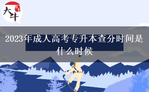 2023年成人高考專升本查分時(shí)間是什么時(shí)候