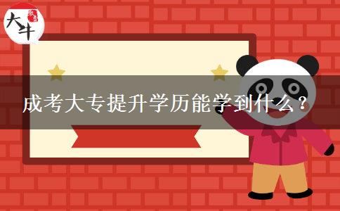 成考大專提升學(xué)歷能學(xué)到什么？