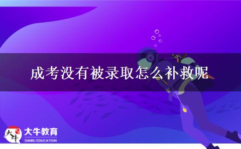 成考沒有被錄取怎么補救呢