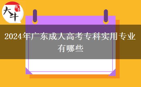 2024年廣東成人高考?？茖?shí)用專業(yè)有哪些