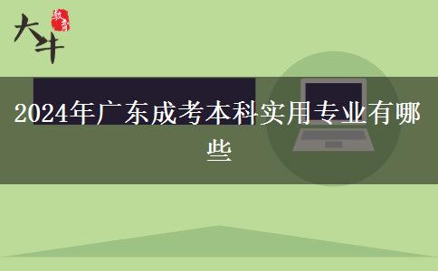 2024年廣東成考本科實(shí)用專業(yè)有哪些