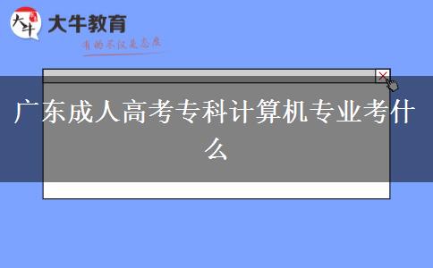 廣東成人高考?？朴嬎銠C專業(yè)考什么