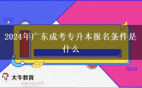 2024年廣東成考專升本報名條件是什么