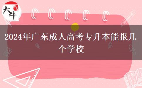 2024年廣東成人高考專升本能報幾個學(xué)校