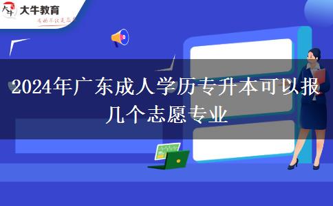 2024年廣東成人學(xué)歷專升本可以報(bào)幾個(gè)志愿專業(yè)