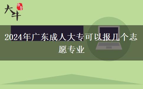 2024年廣東成人大專可以報(bào)幾個(gè)志愿專業(yè)