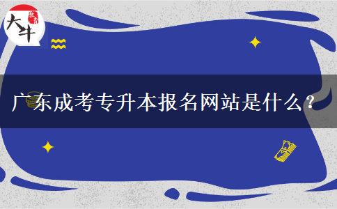 廣東成考專(zhuān)升本報(bào)名網(wǎng)站是什么？