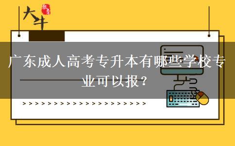 廣東成人高考專升本有哪些學(xué)校專業(yè)可以報(bào)？