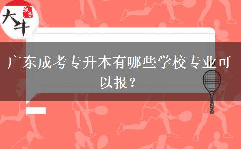 廣東成考專升本有哪些學(xué)校專業(yè)可以報？