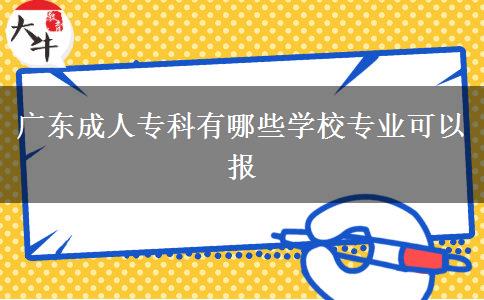 廣東成人專科有哪些學(xué)校專業(yè)可以報(bào)