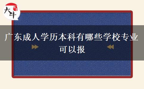 廣東成人學歷本科有哪些學校專業(yè)可以報