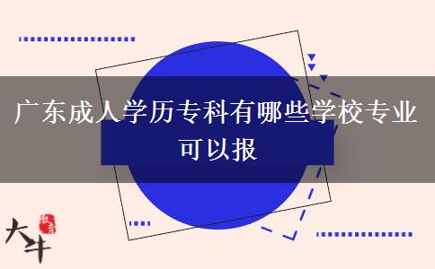 廣東成人學(xué)歷專科有哪些學(xué)校專業(yè)可以報(bào)