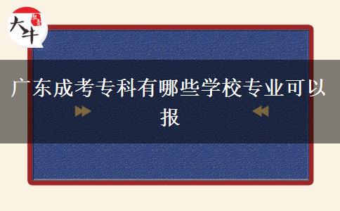 廣東成考專科有哪些學(xué)校專業(yè)可以報(bào)