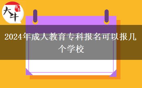 2024年成人教育?？茍?bào)名可以報(bào)幾個(gè)學(xué)校