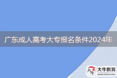 廣東成人高考大專報(bào)名條件2024年