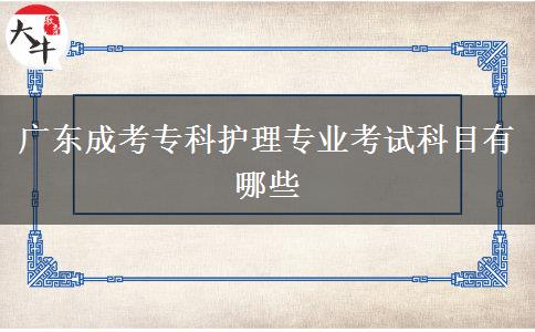 廣東成考?？谱o(hù)理專業(yè)考試科目有哪些