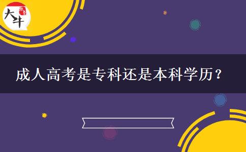 成人高考是?？七€是本科學(xué)歷？
