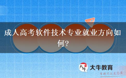 成人高考軟件技術(shù)專業(yè)就業(yè)方向如何?