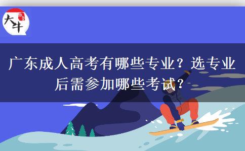 廣東成人高考有哪些專業(yè)？選專業(yè)后需參加哪些考試？