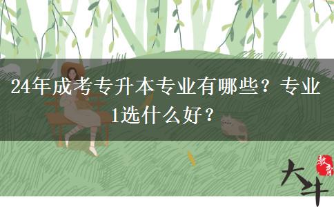 24年成考專升本專業(yè)有哪些？專業(yè)1選什么好？