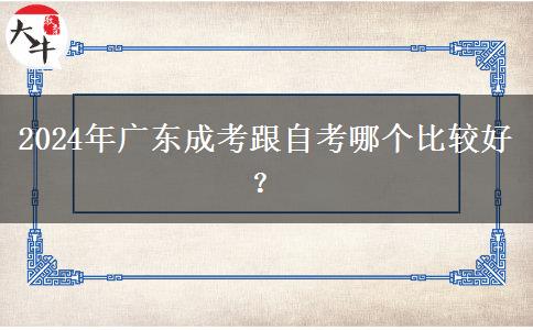 2024年廣東成考跟自考哪個(gè)比較好？