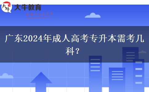 廣東2024年成人高考專升本需考幾科？