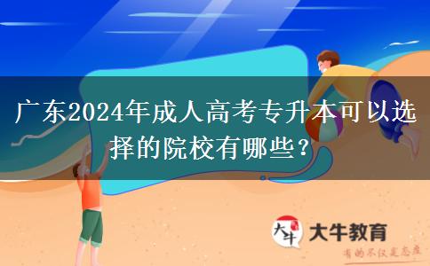 廣東2024年成人高考專升本可以選擇的院校有哪些？