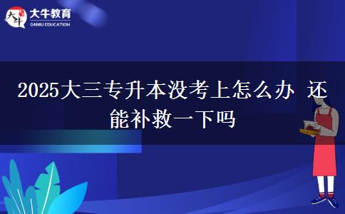 2025大三專升本沒考上怎么辦 還能補(bǔ)救一下嗎