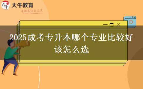 2025成考專升本哪個專業(yè)比較好 該怎么選