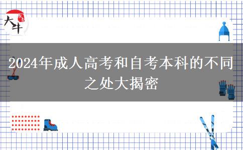 2024年成人高考和自考本科的不同之處大揭密