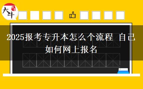 2025報(bào)考專升本怎么個(gè)流程 自己如何網(wǎng)上報(bào)名