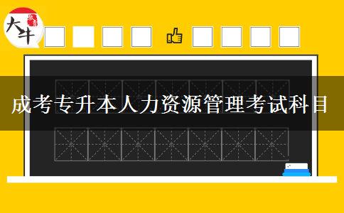 成考專(zhuān)升本人力資源管理考試科目