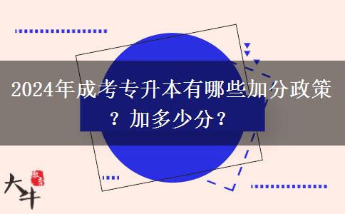 2024年成考專升本有哪些加分政策？加多少分？